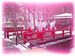 クリックすると大きな写真が表示されます